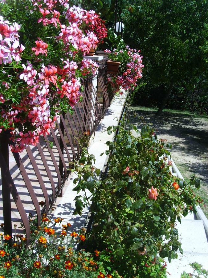 Casa Lieta Bed and Breakfast Subiaco Exteriör bild